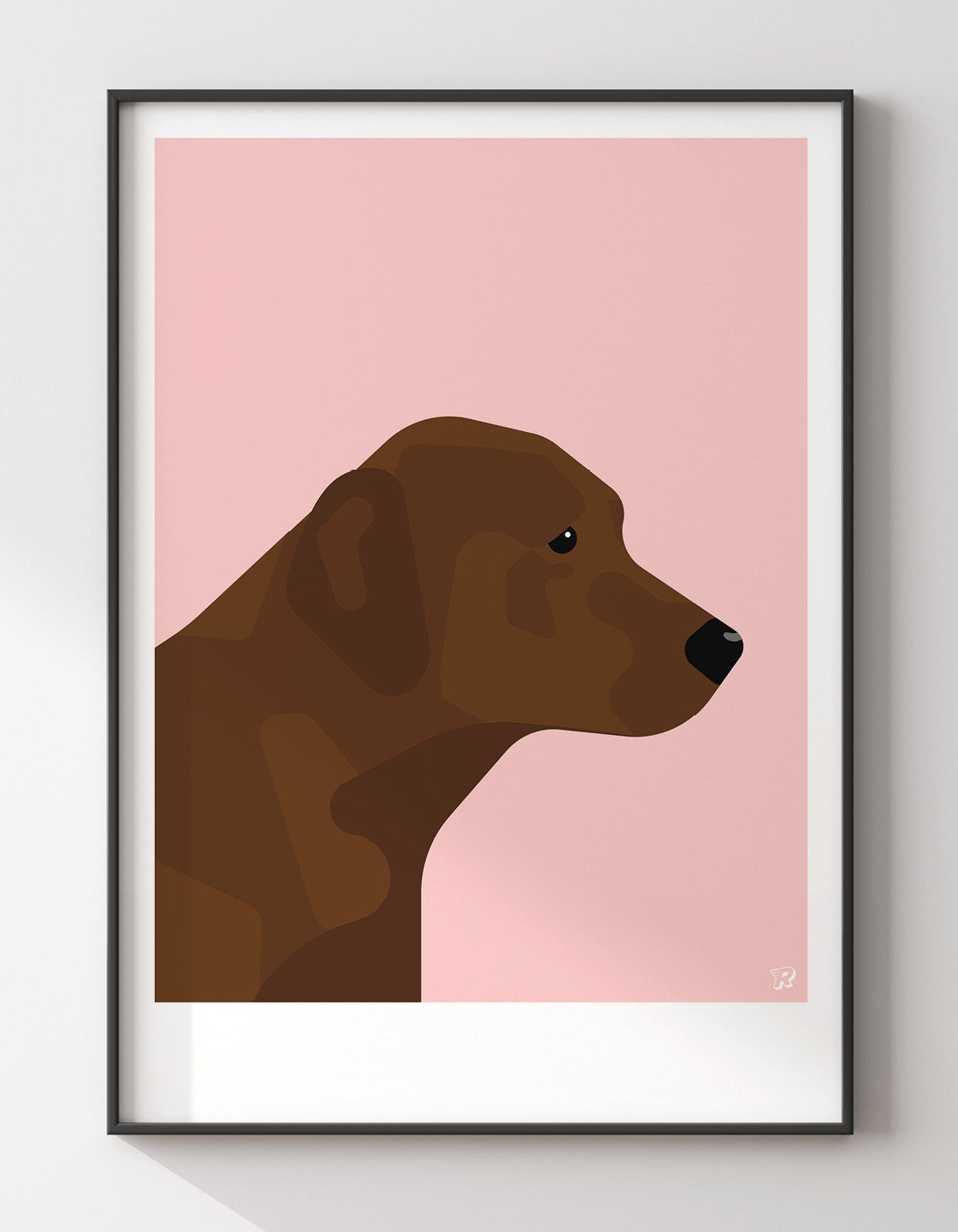 Chocolate labrador