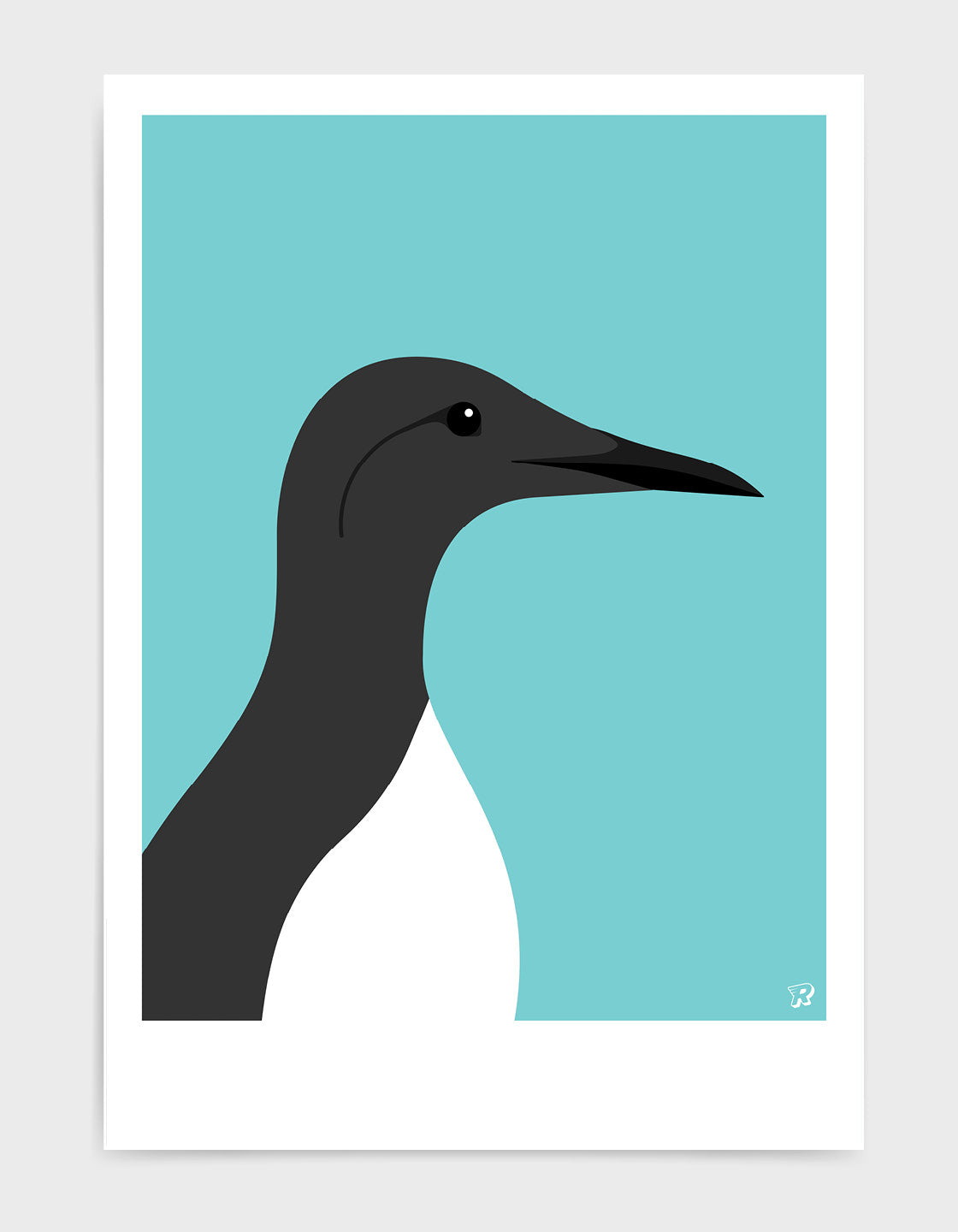 Guillemot