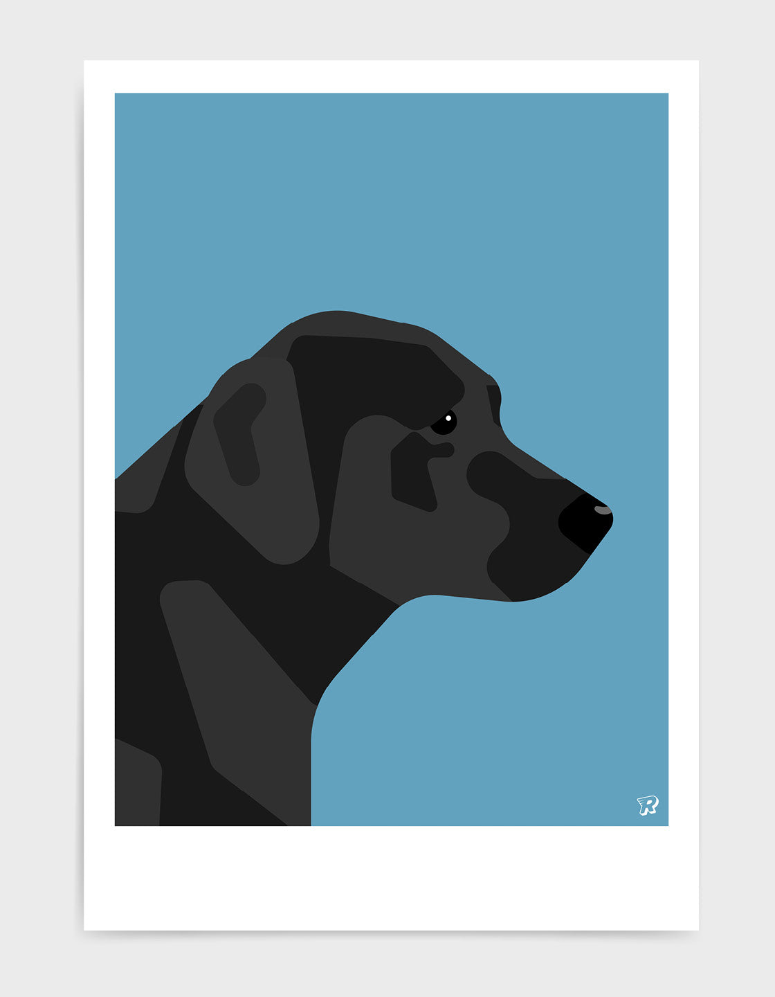 Black labrador