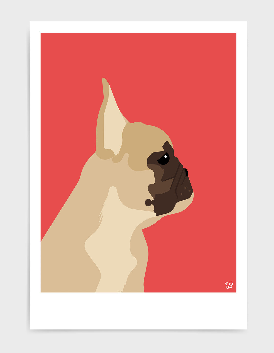 French bulldog