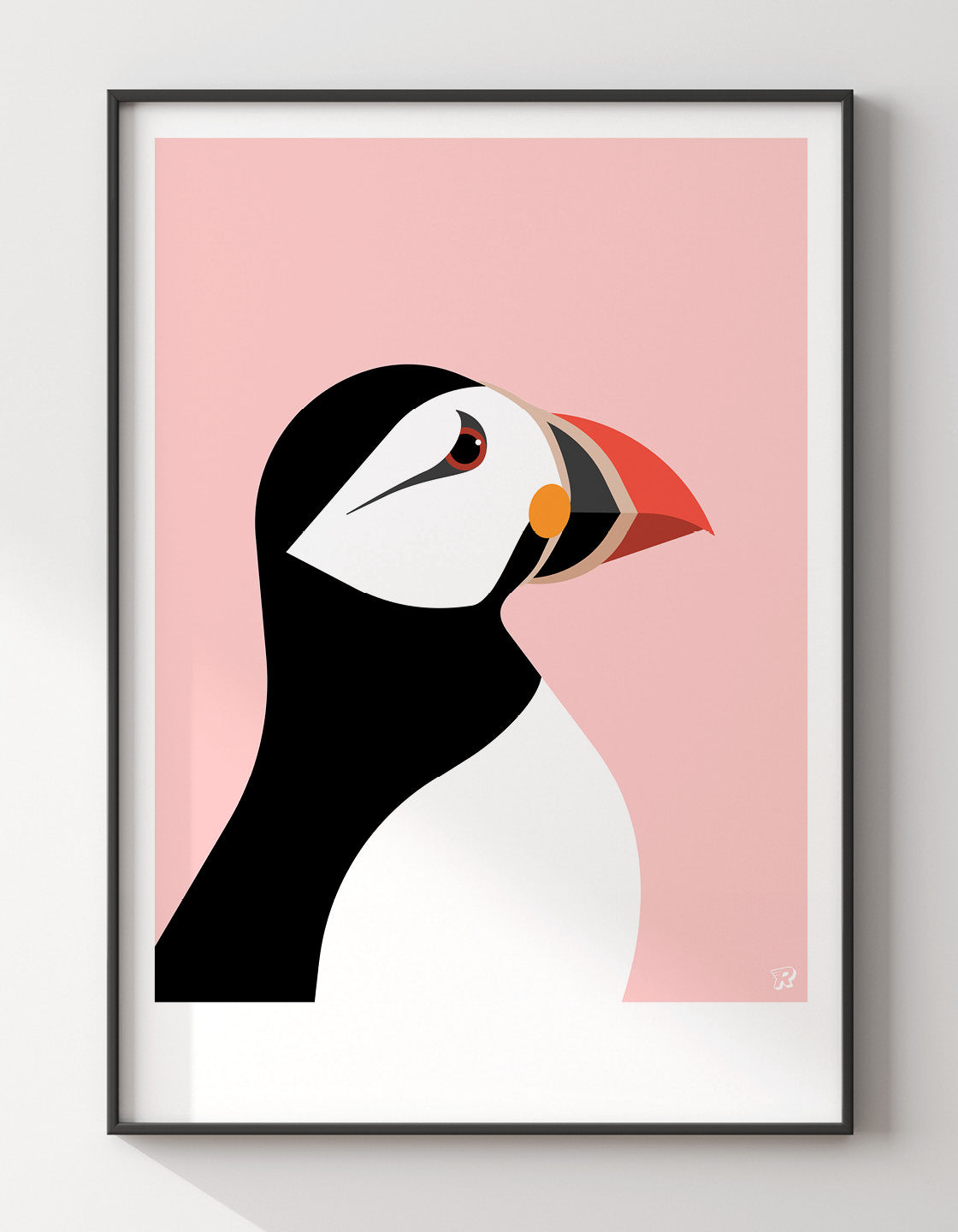 Puffin