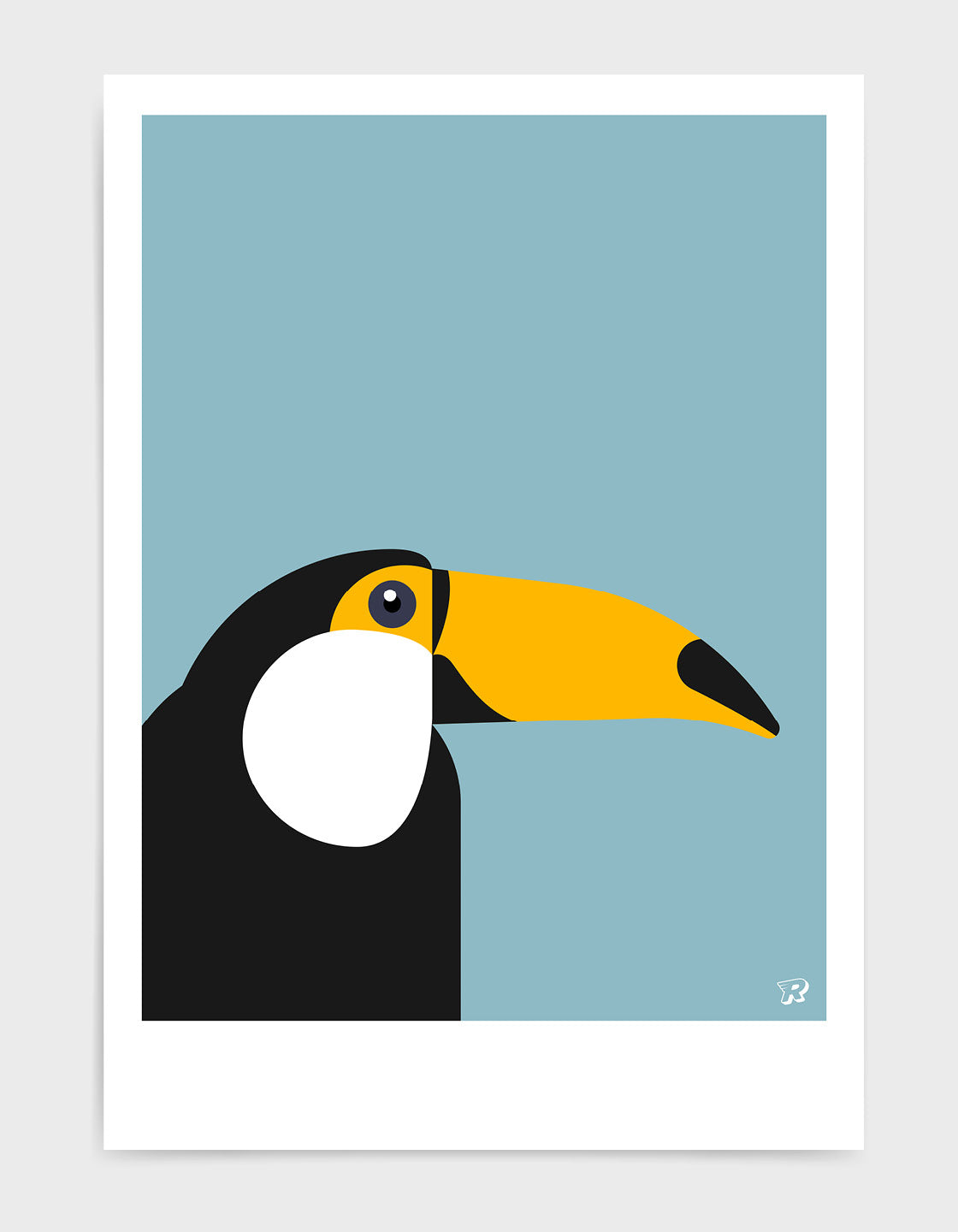 Toucan