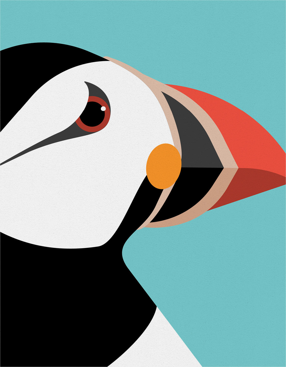 Puffin