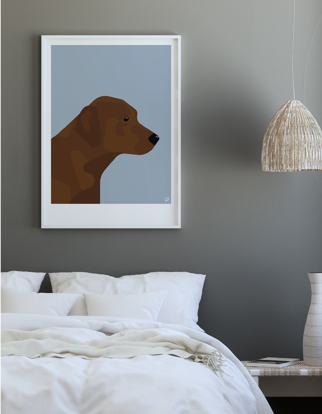Chocolate labrador