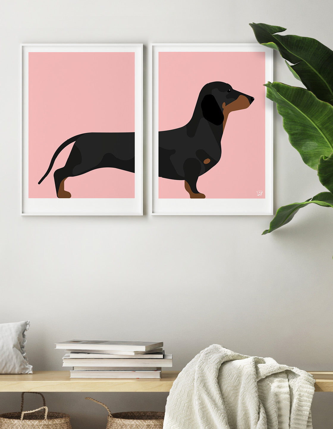 Sausage dog pair