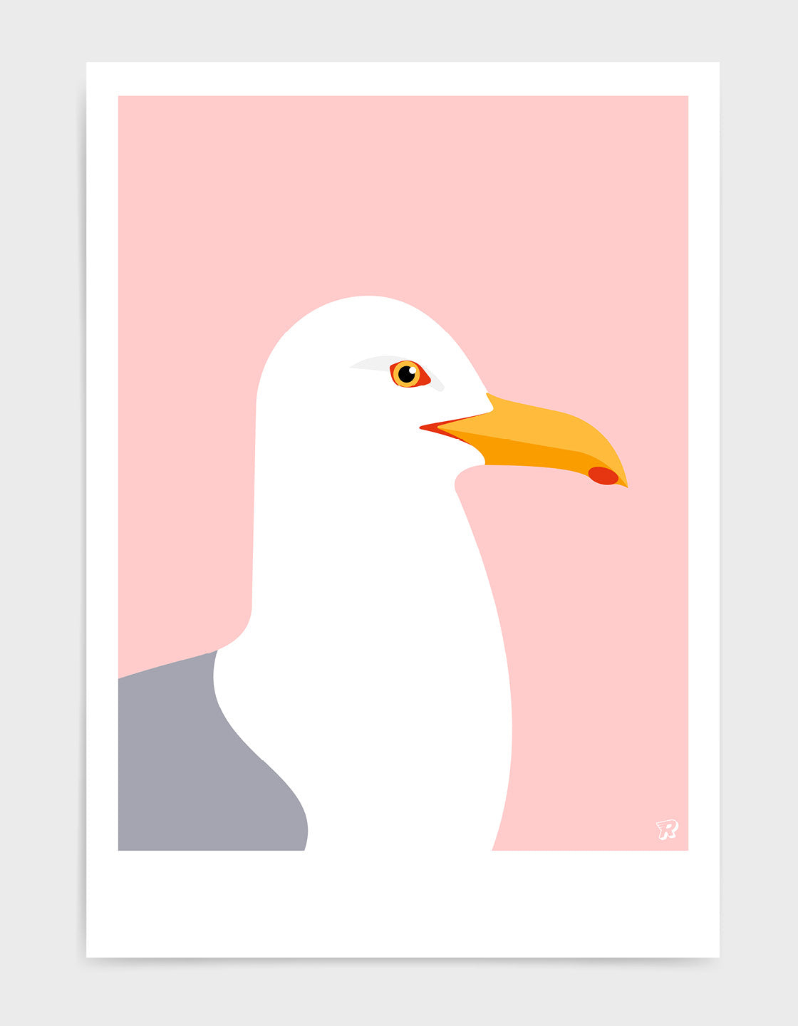 Herring Gull