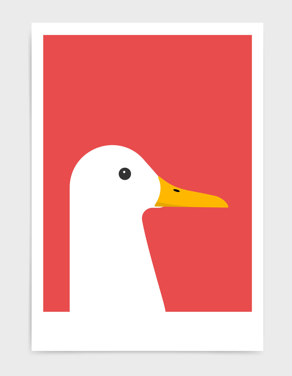 White duck