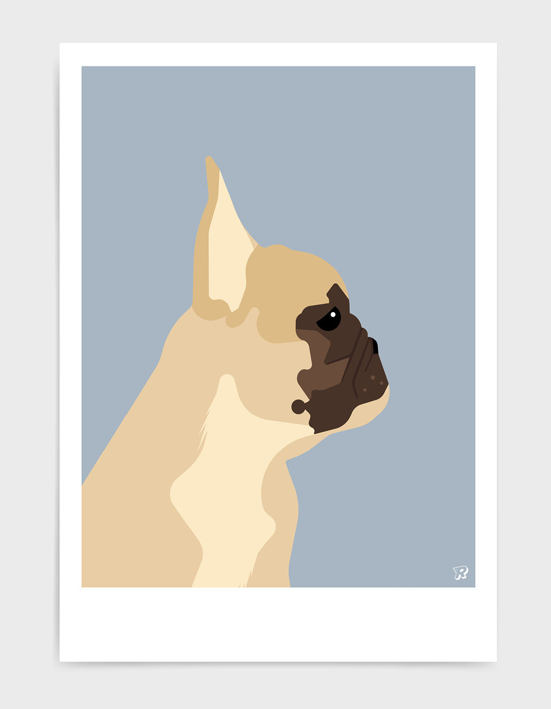 French bulldog