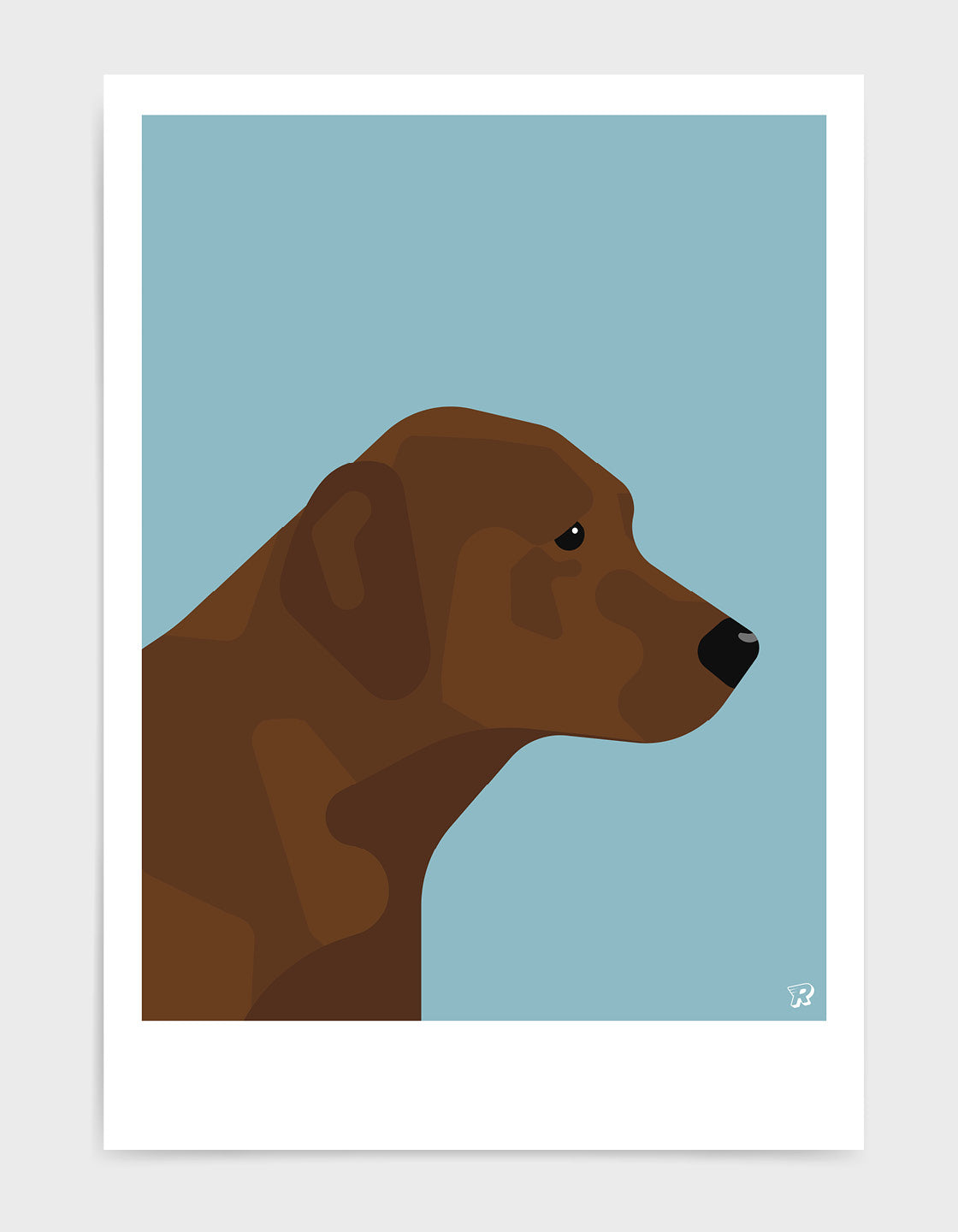 Chocolate labrador