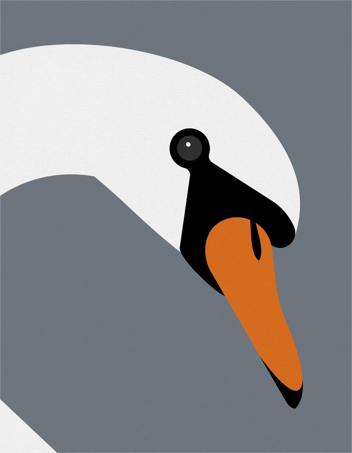 Swan