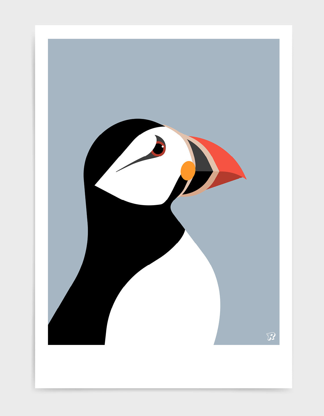 Puffin