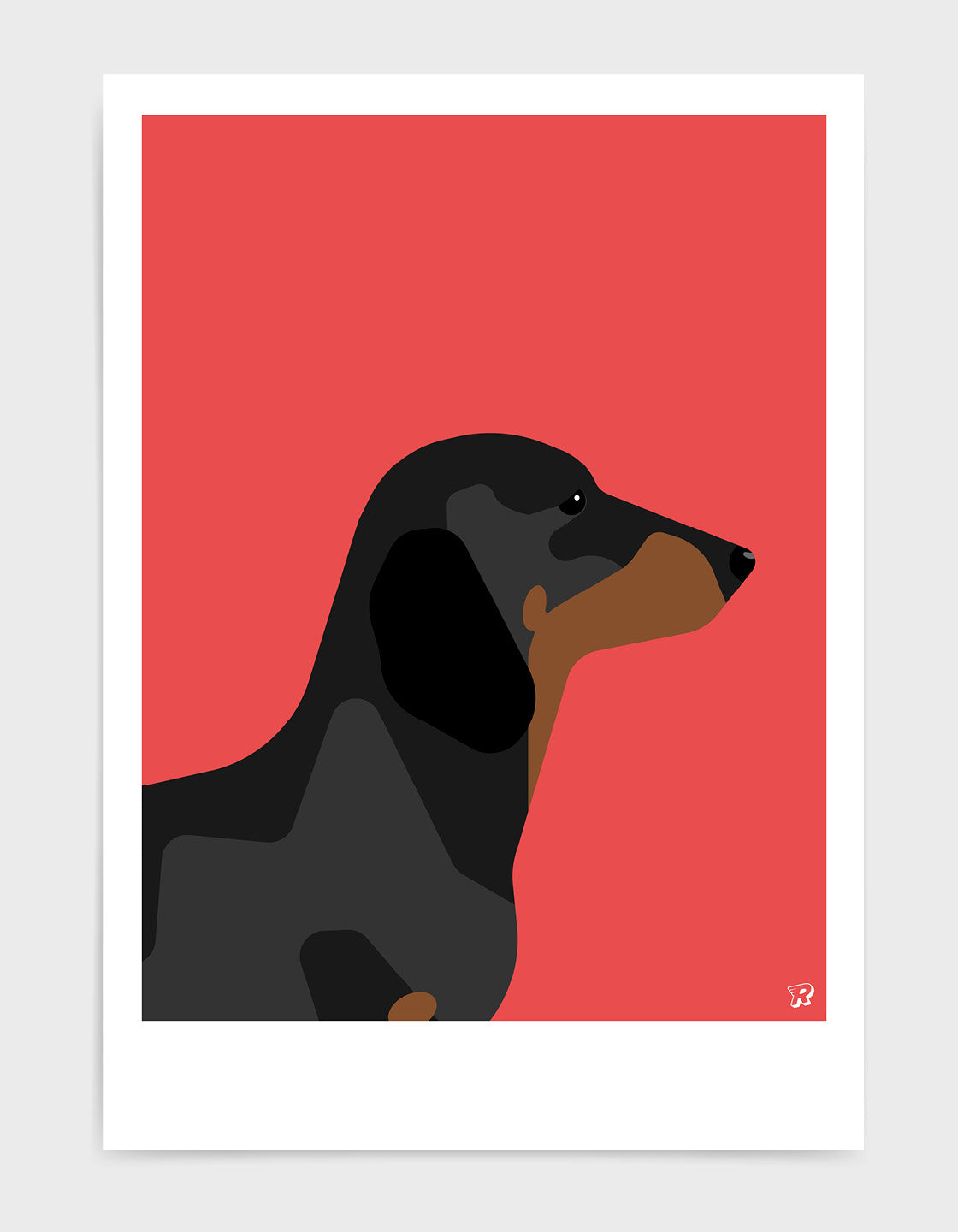 Dachshund