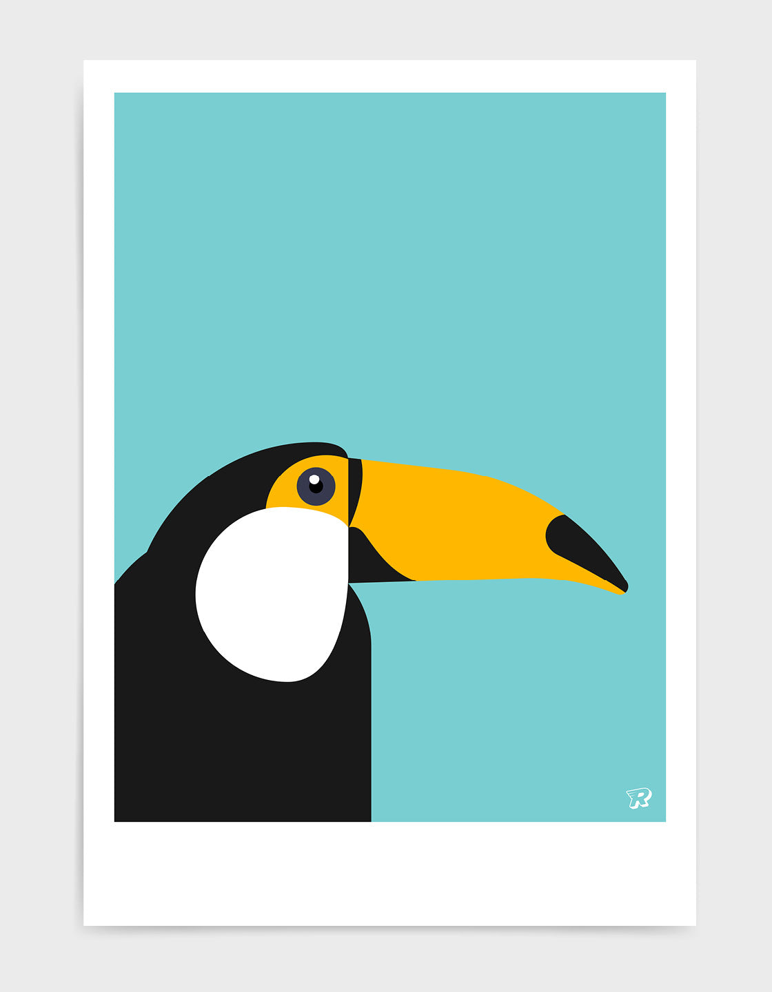 Toucan