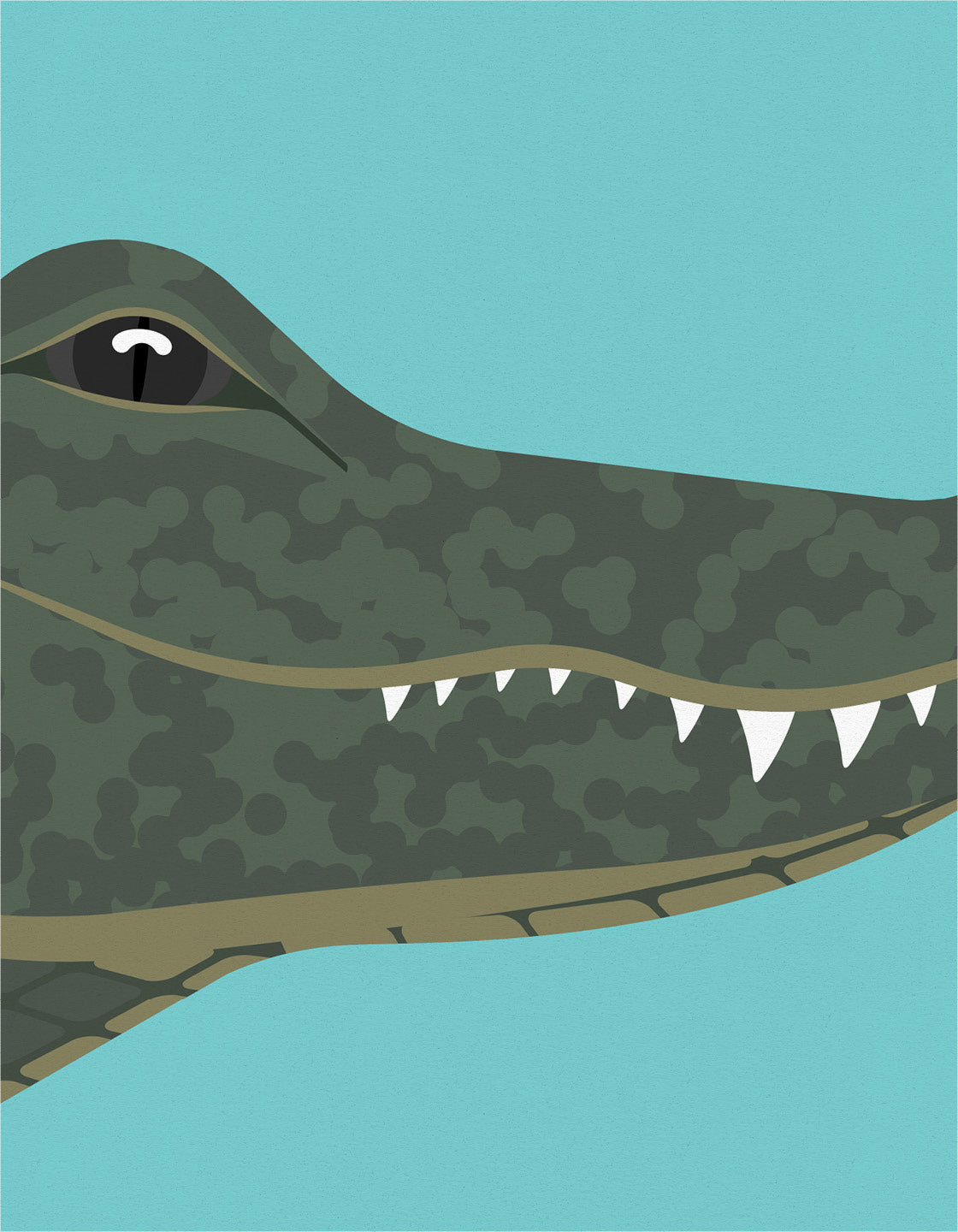 Crocodile