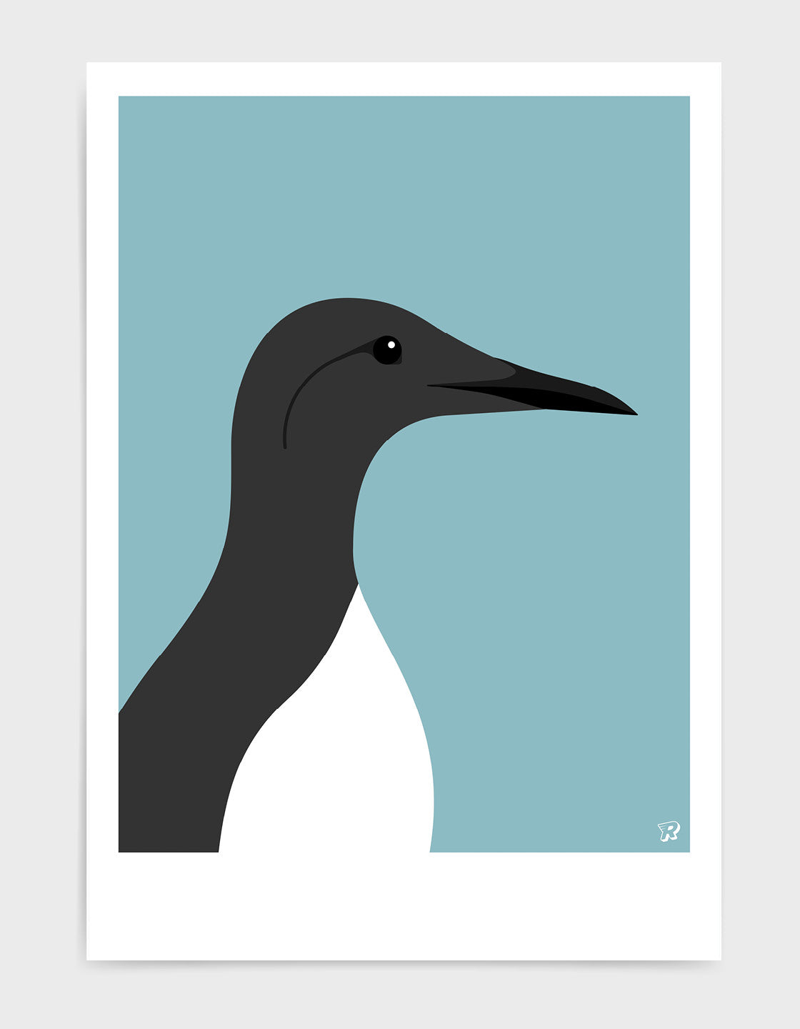 Guillemot