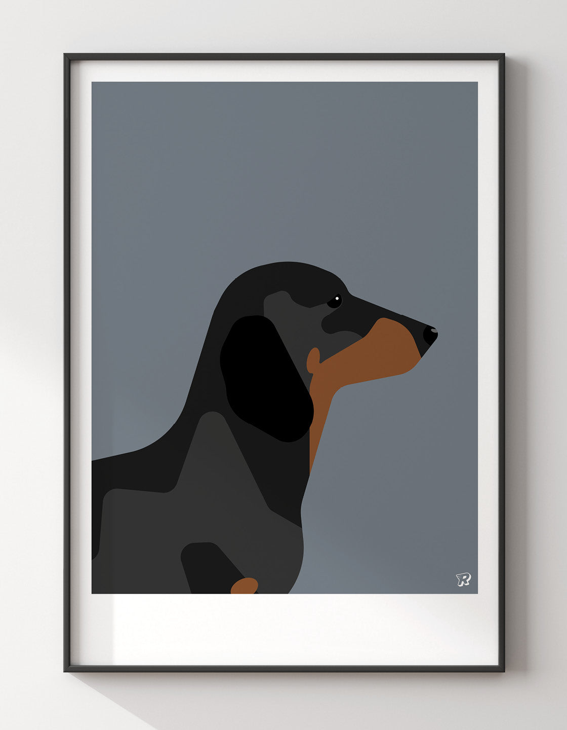 Dachshund