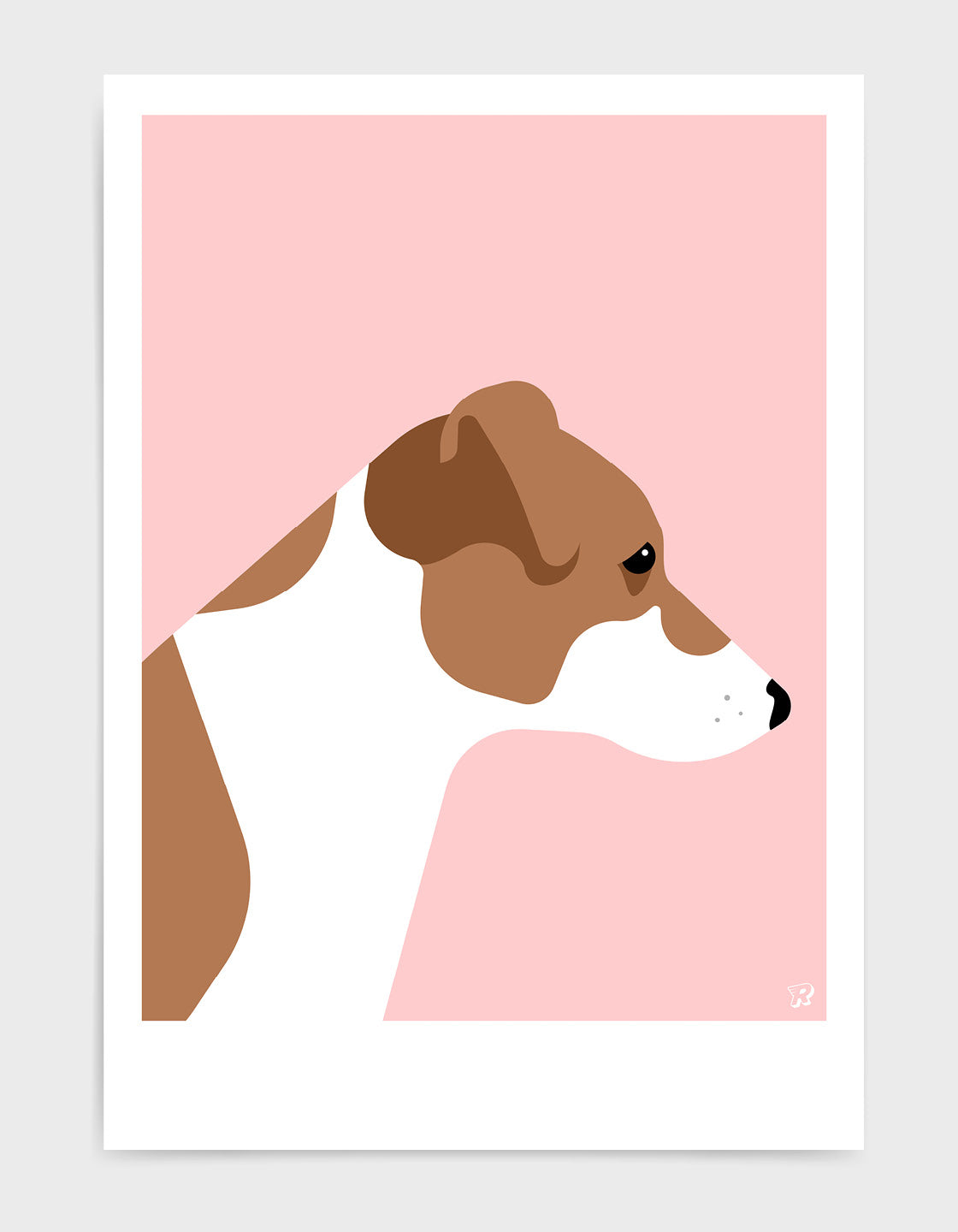 Jack russell terrier