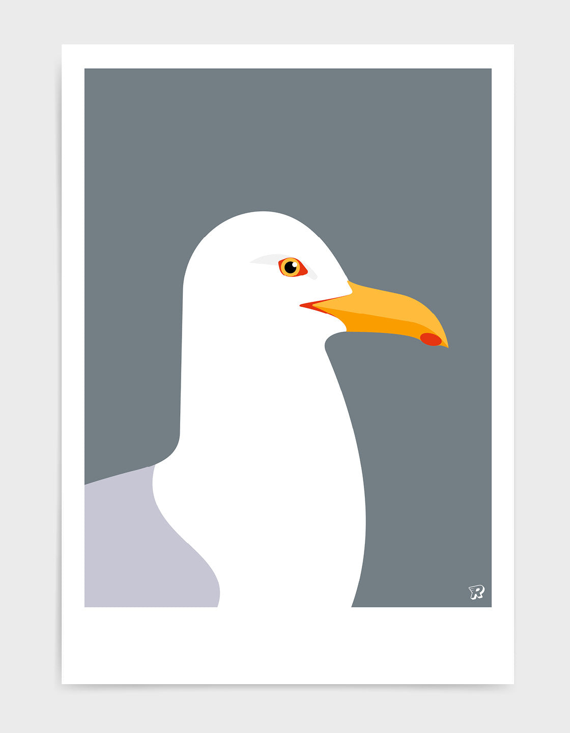 Herring Gull