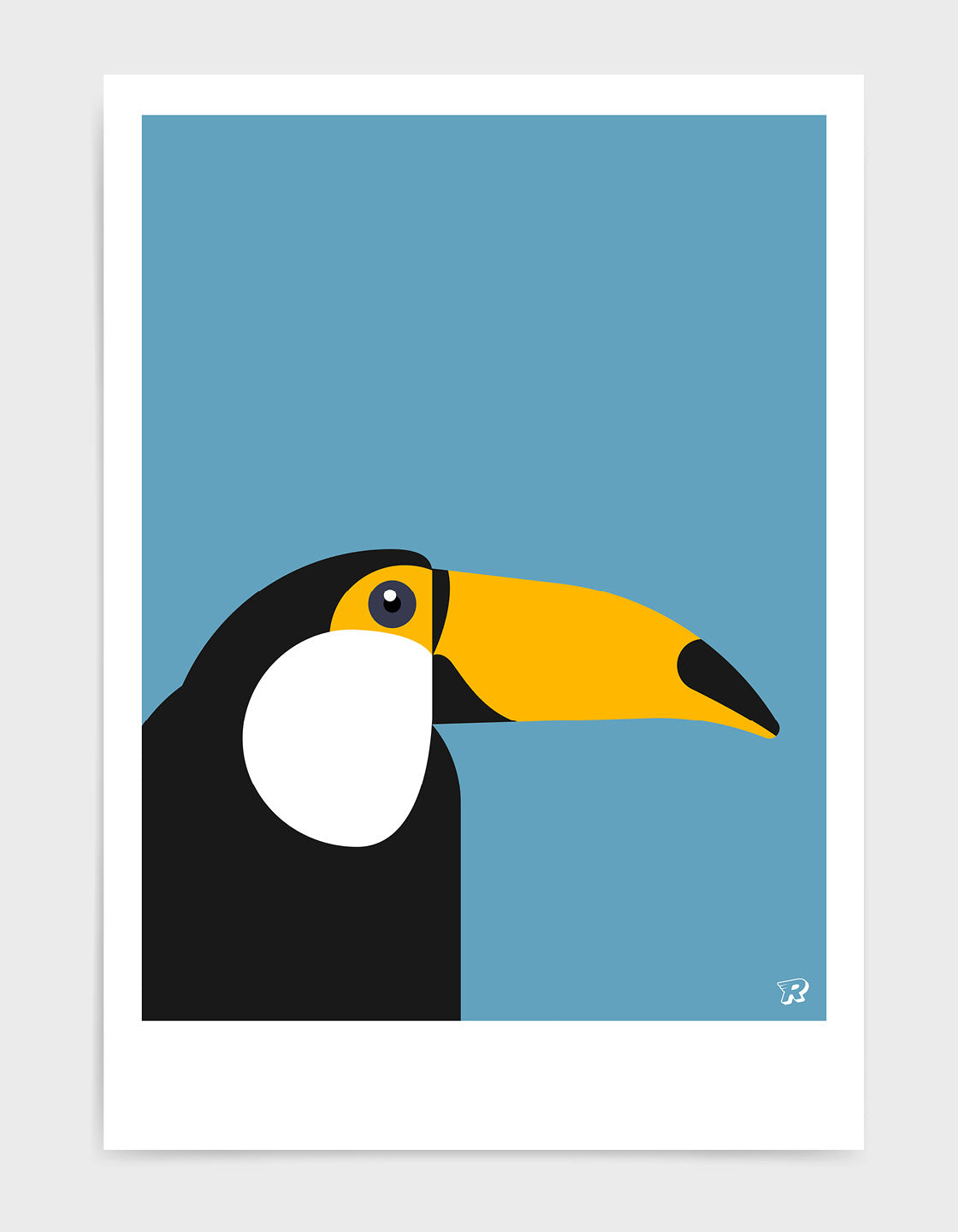 Toucan