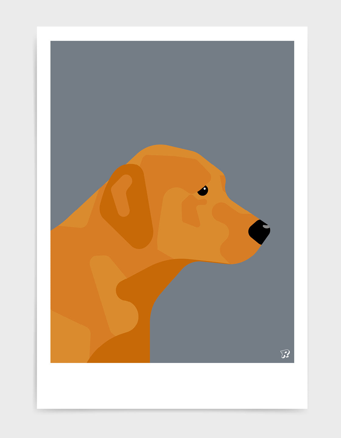Fox red labrador