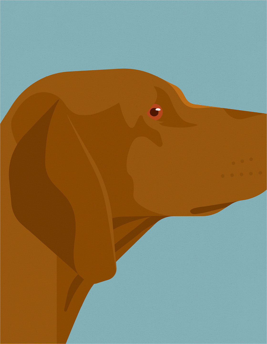 Vizsla