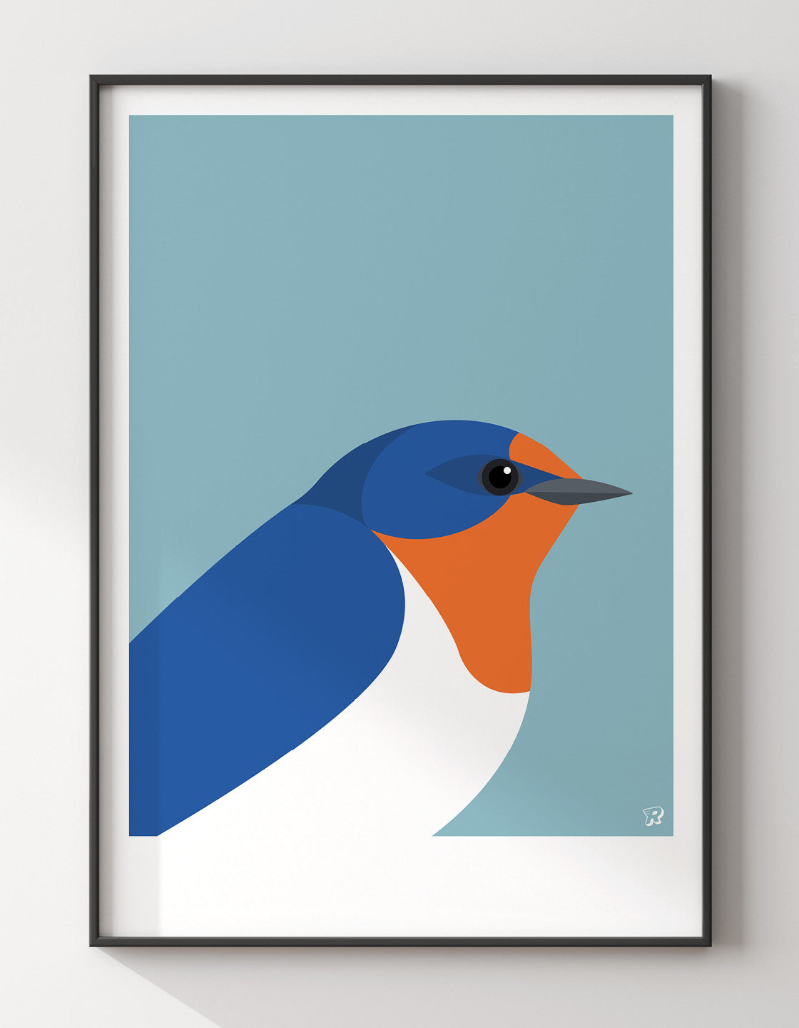 Swallow