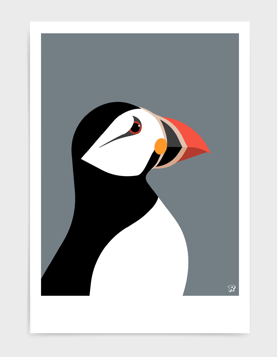 Puffin