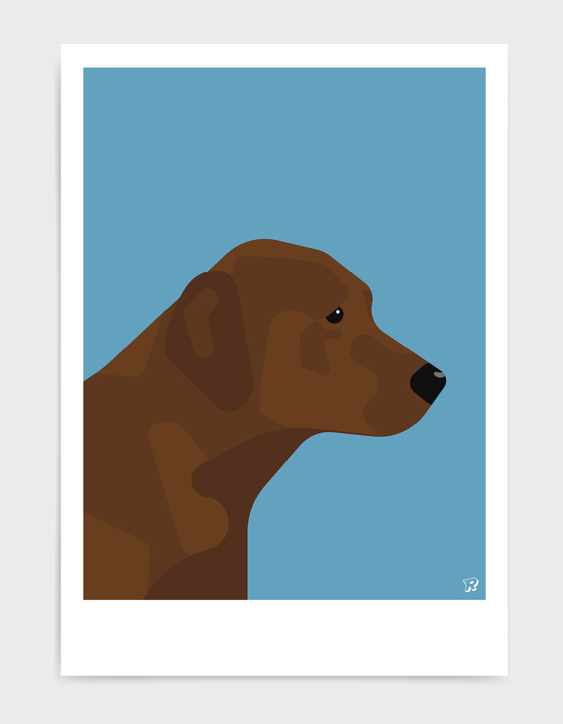 Chocolate labrador