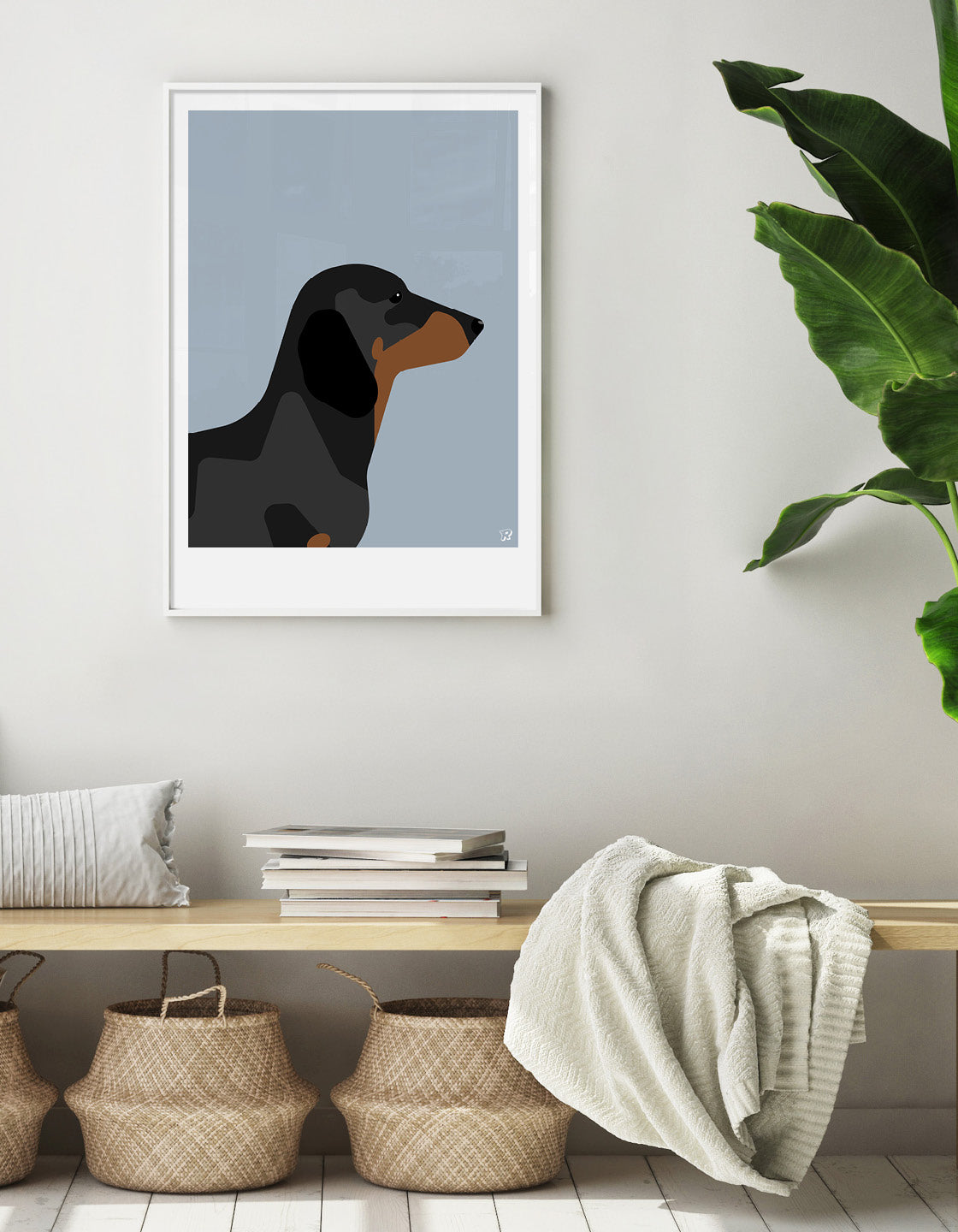 Dachshund