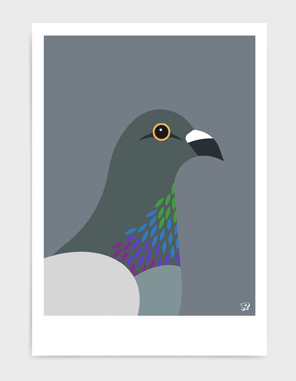 Pigeon