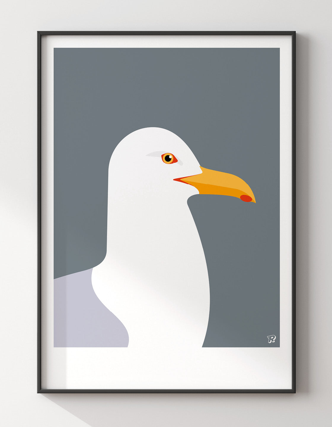 Herring Gull