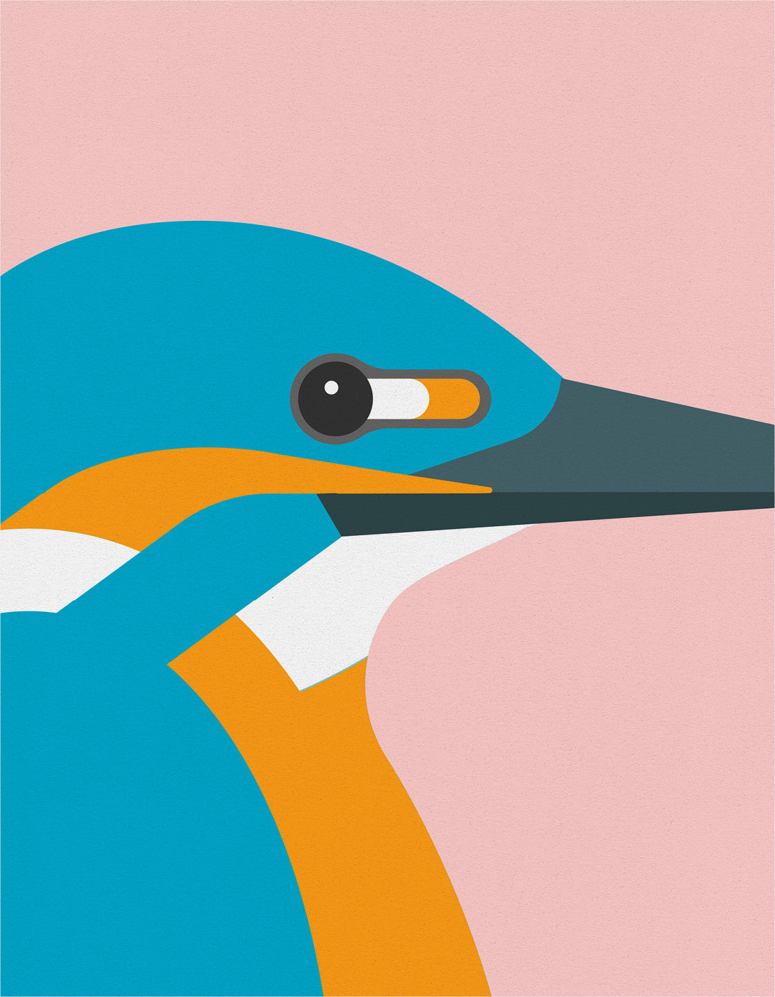 Kingfisher