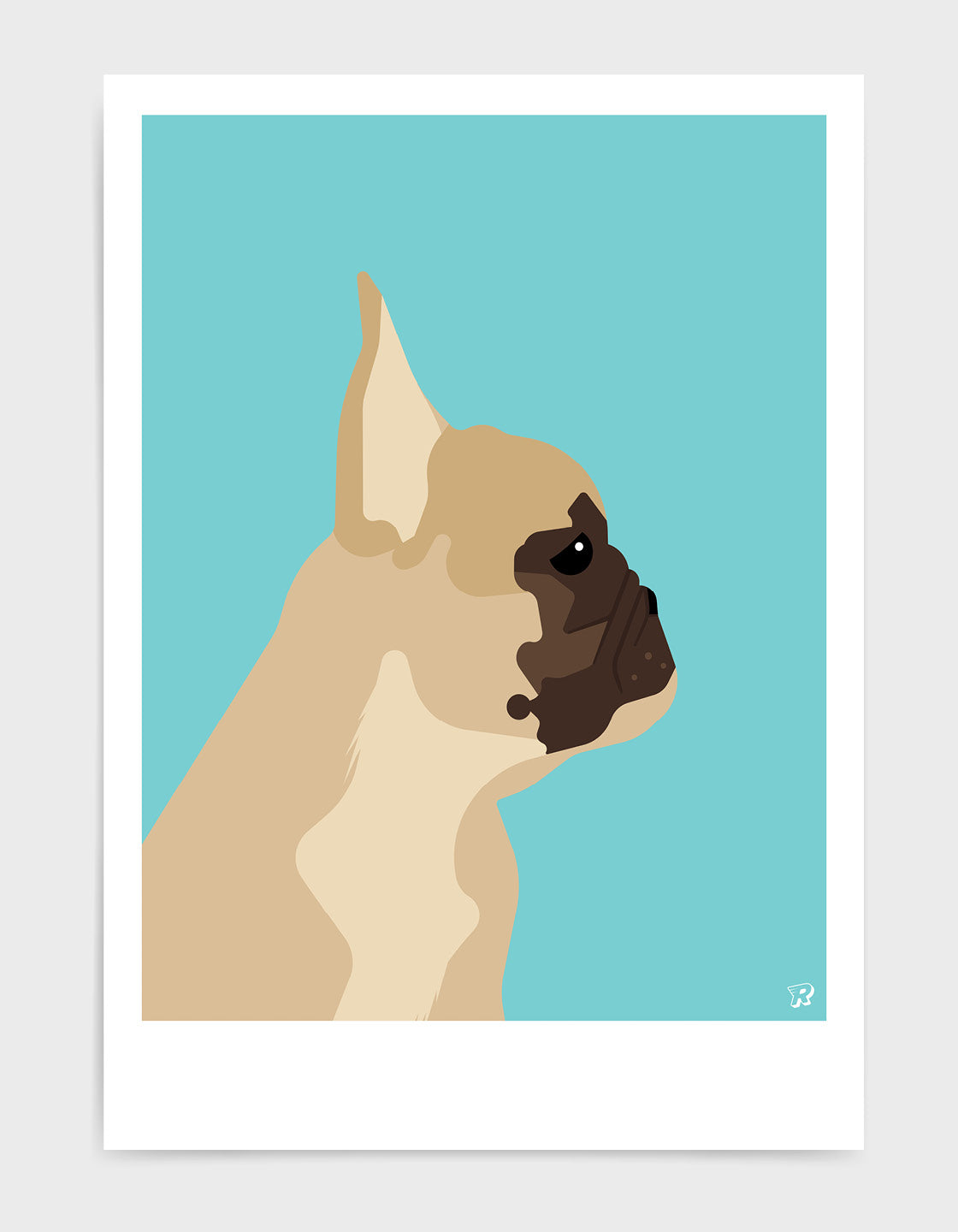 French bulldog