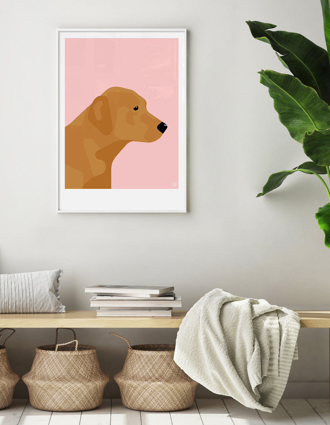 Fox red labrador