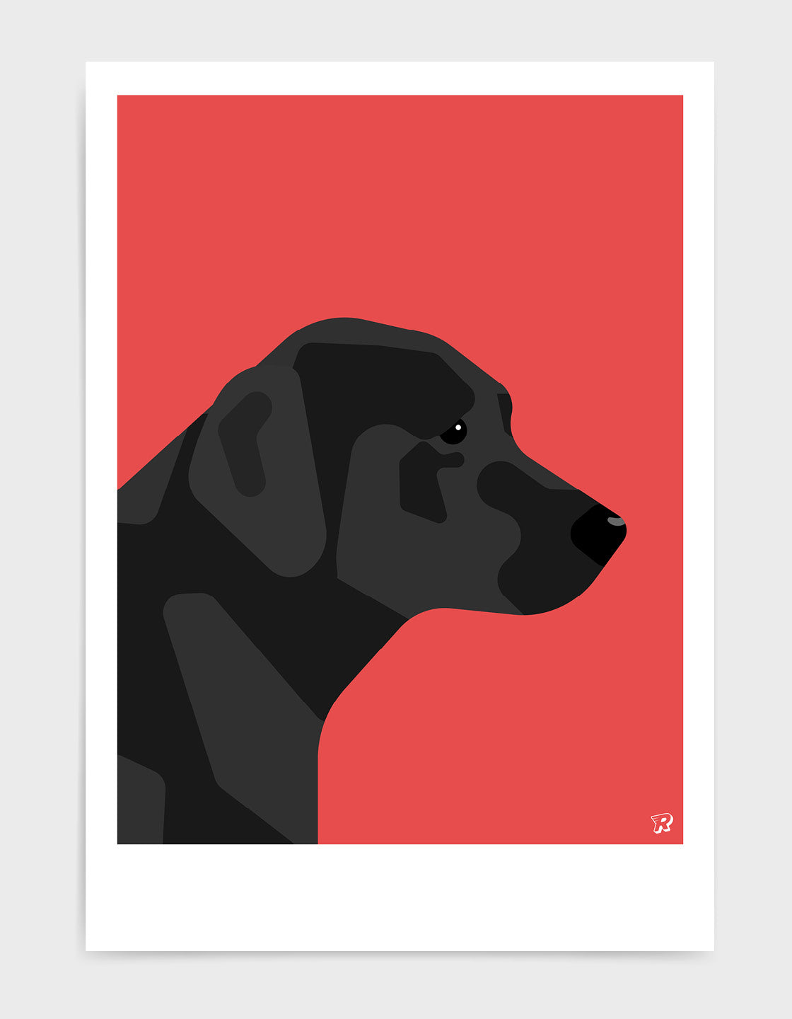 Black labrador