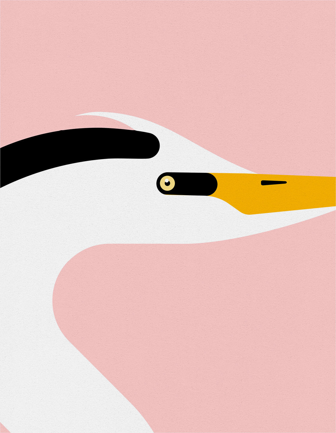 Heron