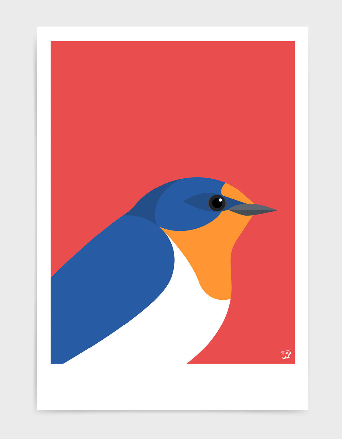 Swallow