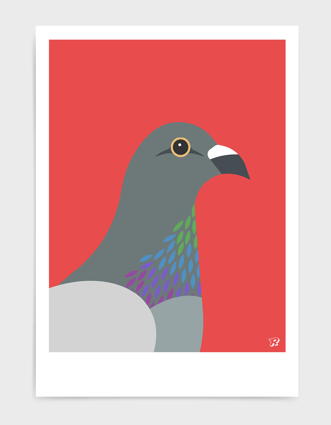 Pigeon