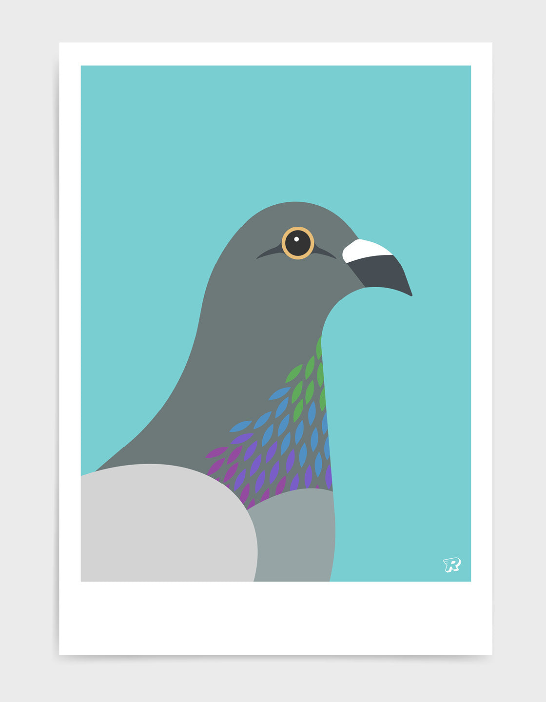 Pigeon