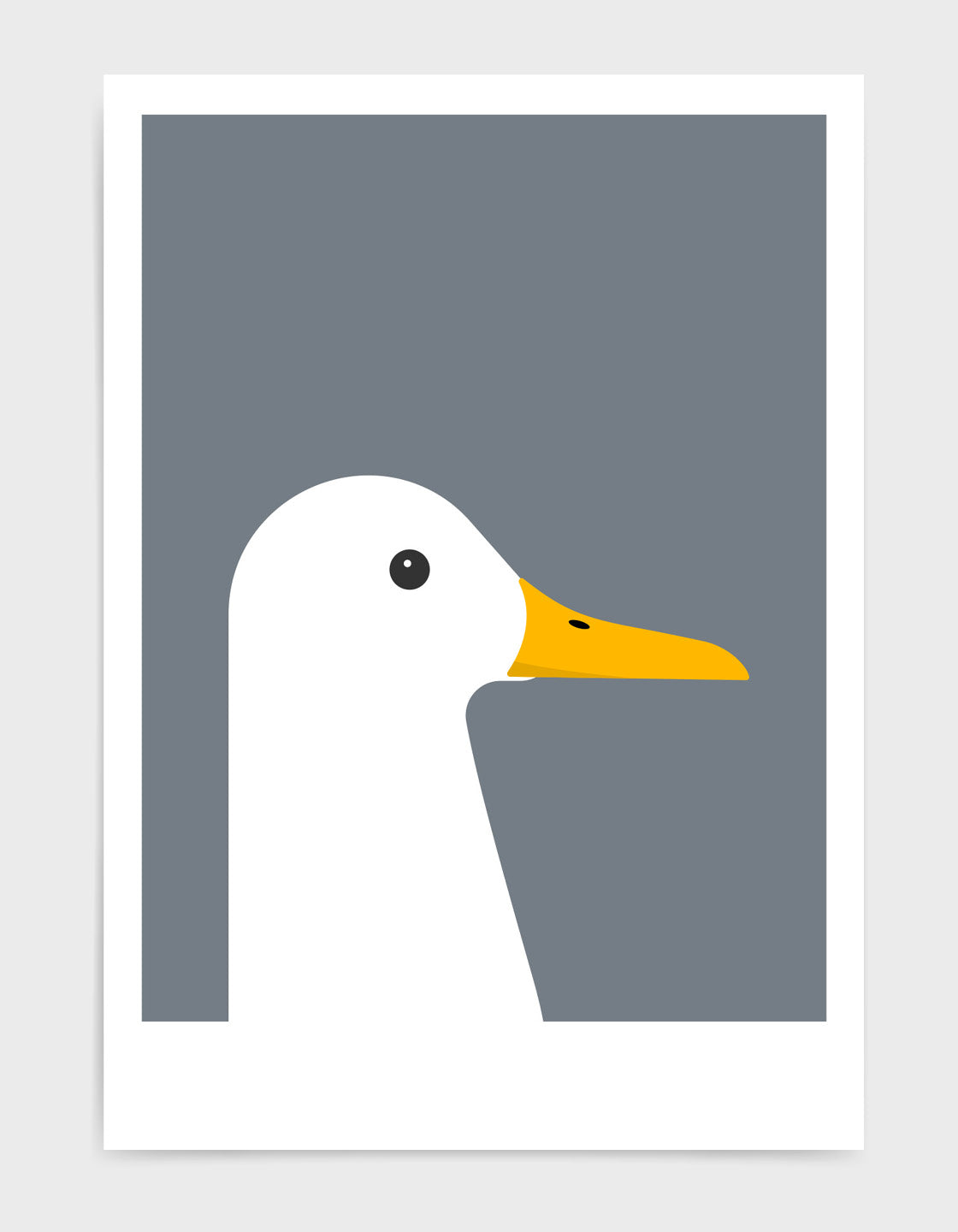White duck