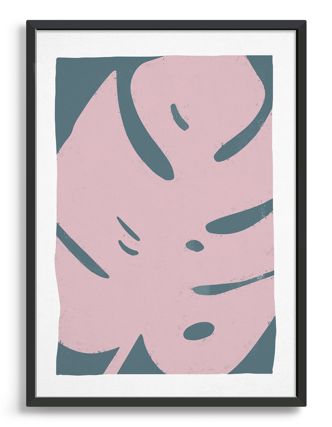 Large pink monstera leaf against a blue background