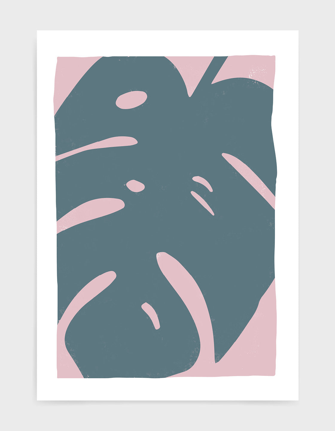 Large blue monstera leaf against a pink background