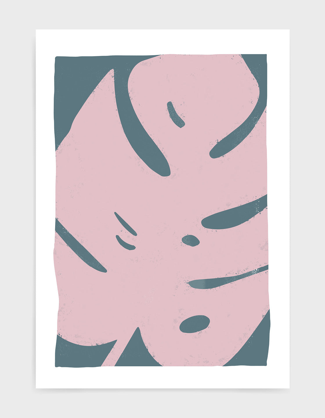 Large pink monstera leaf against a blue background