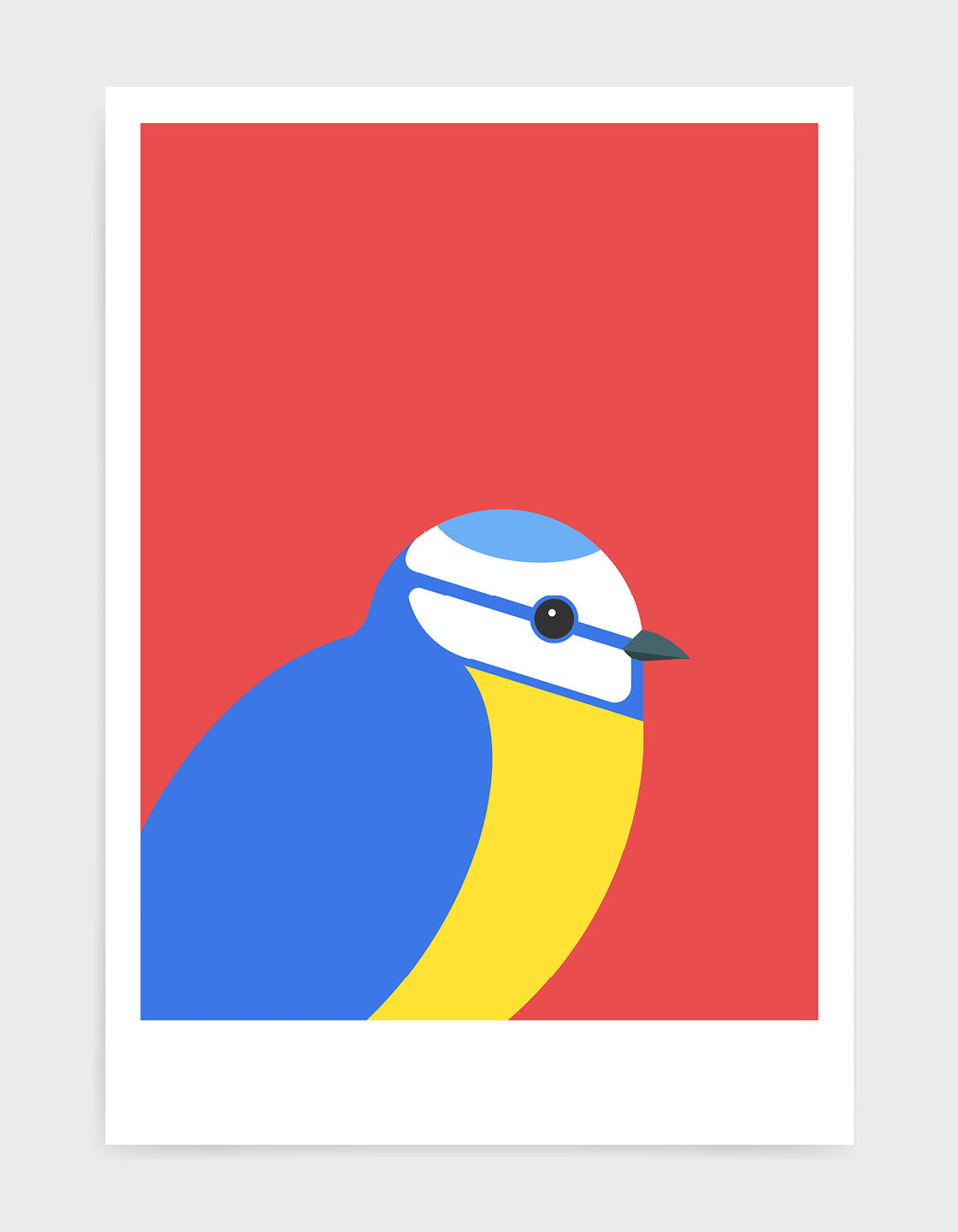 modern illustration of a blue tit bird against a red background