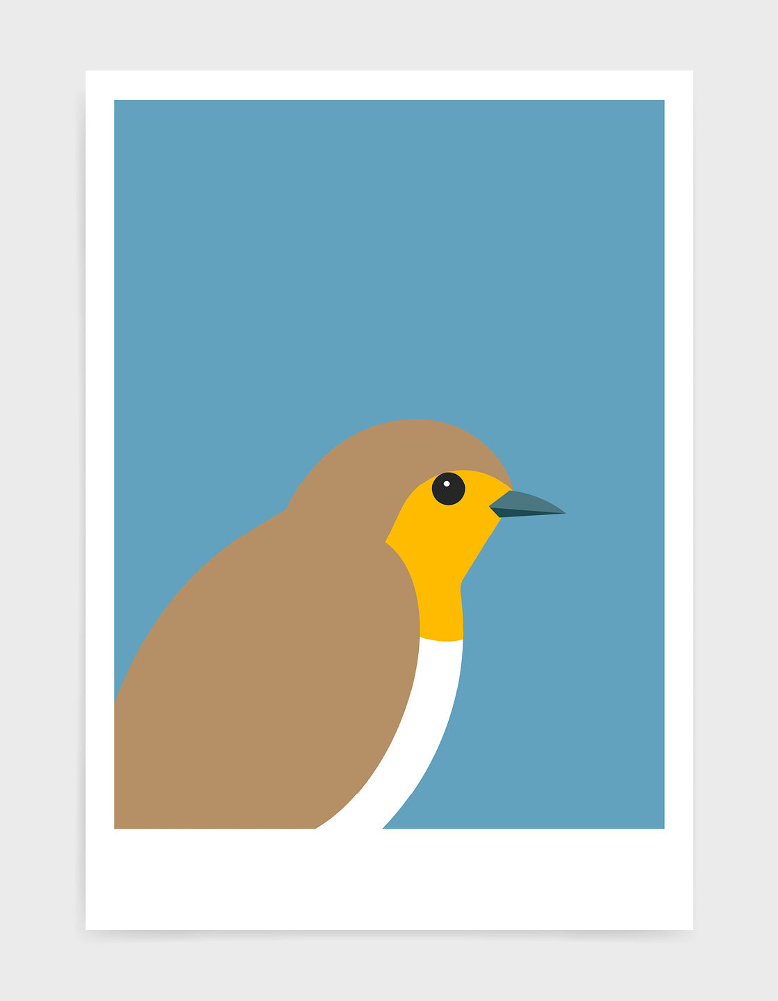 Robin