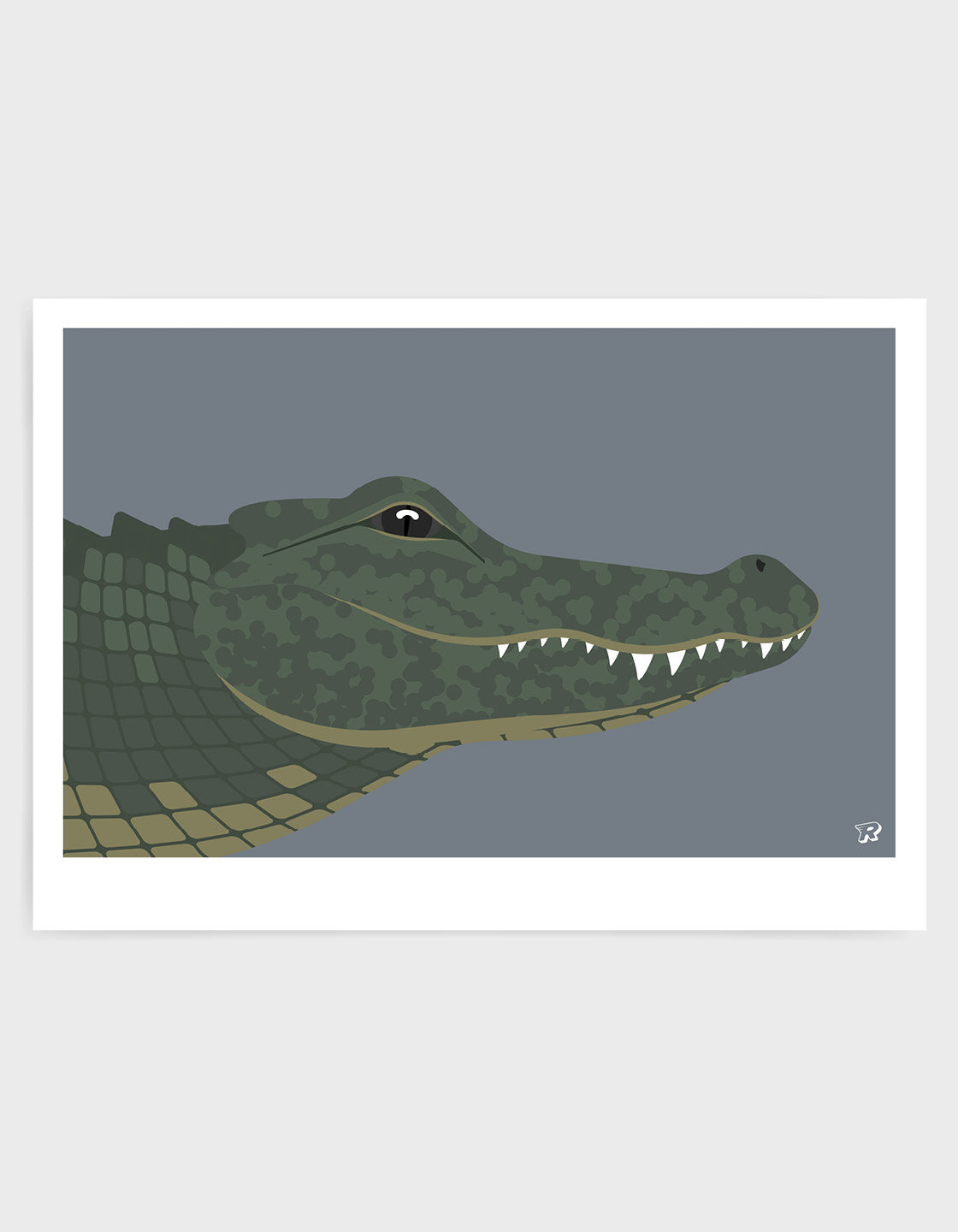 Crocodile