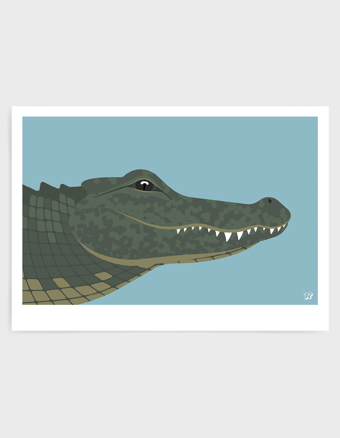 Crocodile