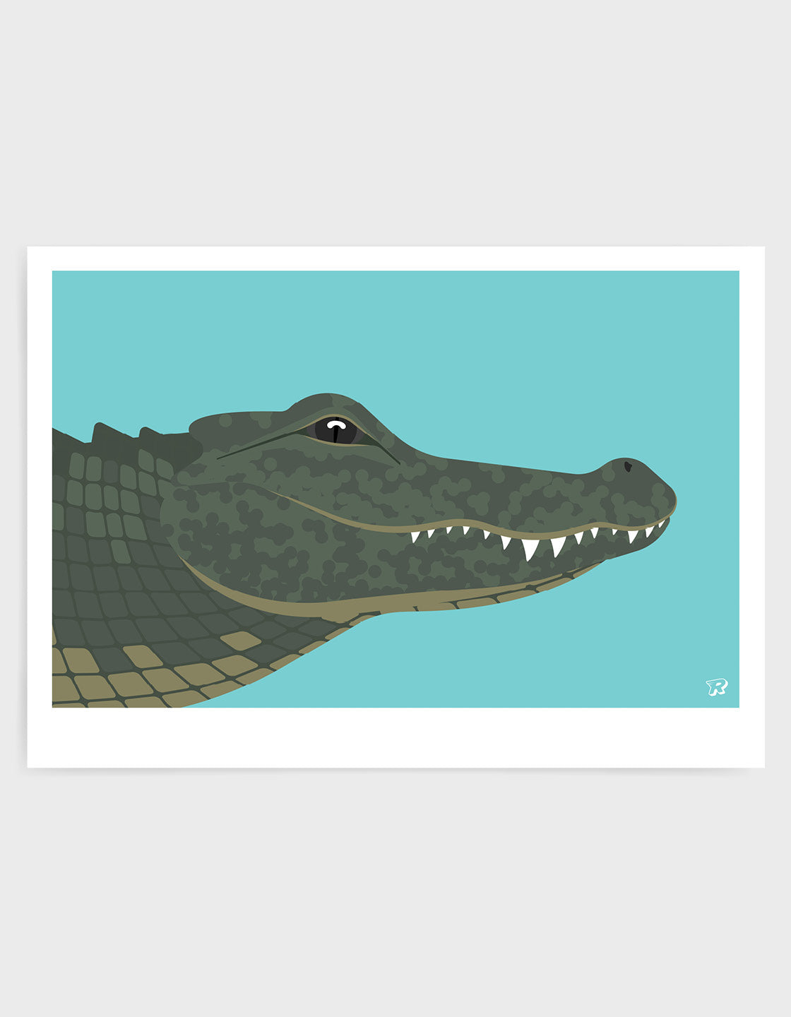 Crocodile