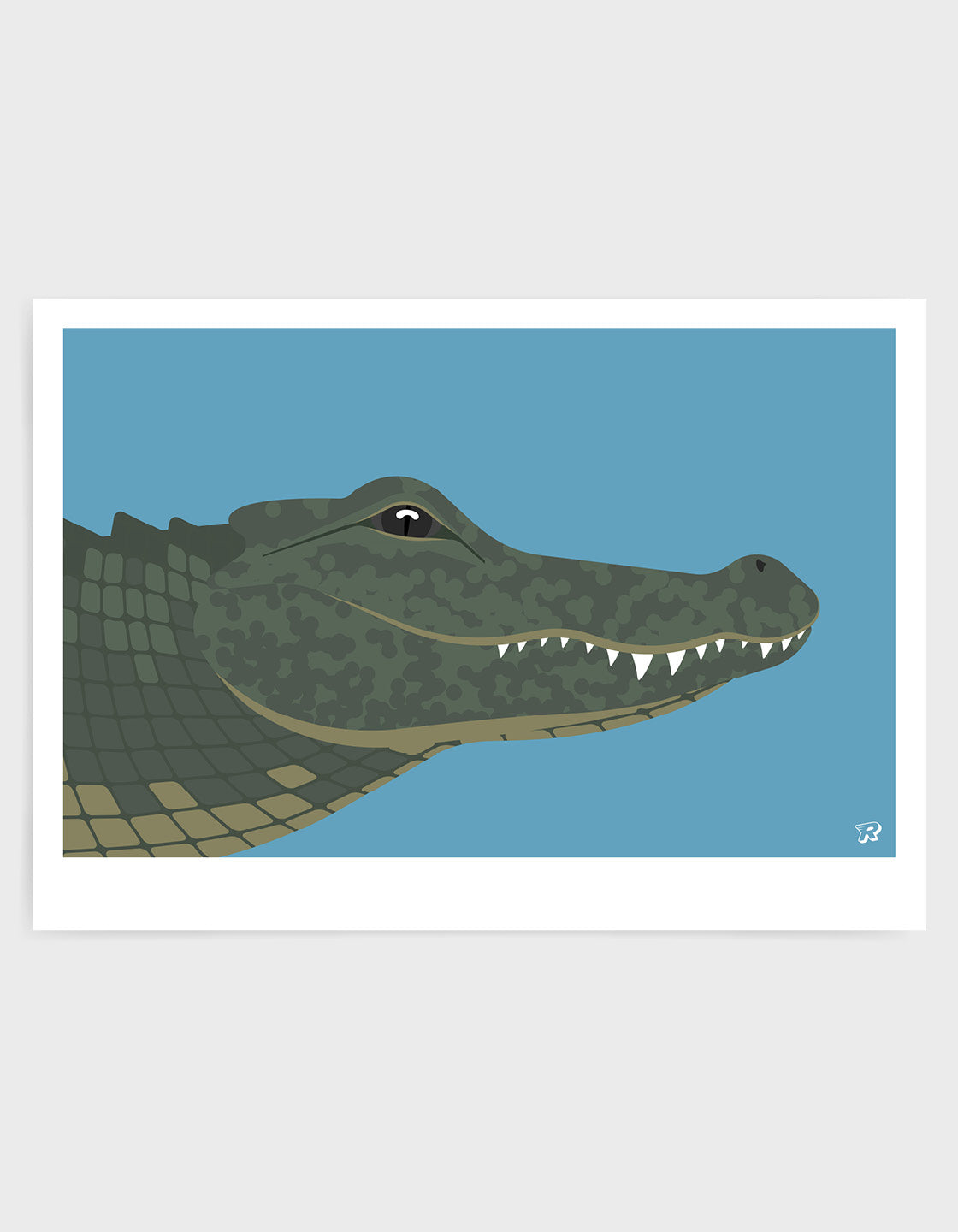 Crocodile