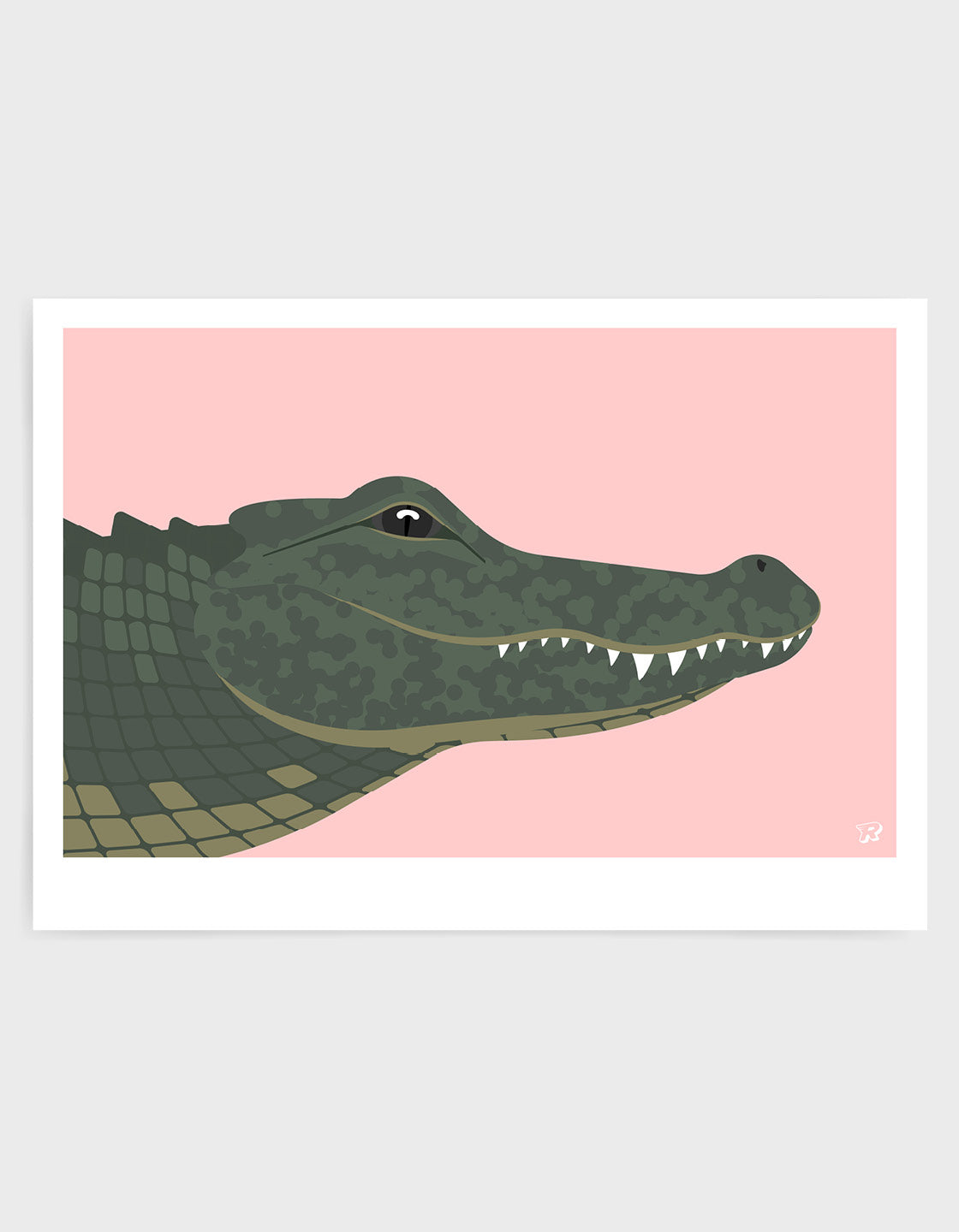 Crocodile